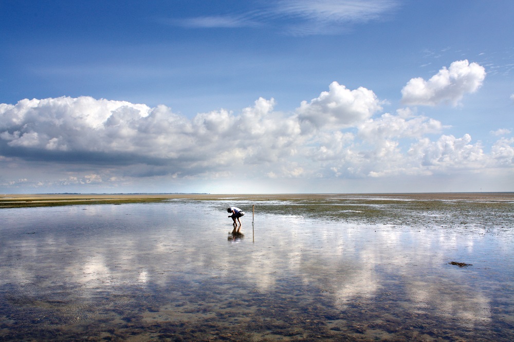 Nordsee: Wattwandern bei Ebbe